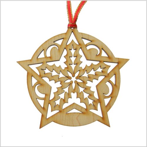 559 - Ornament,  star